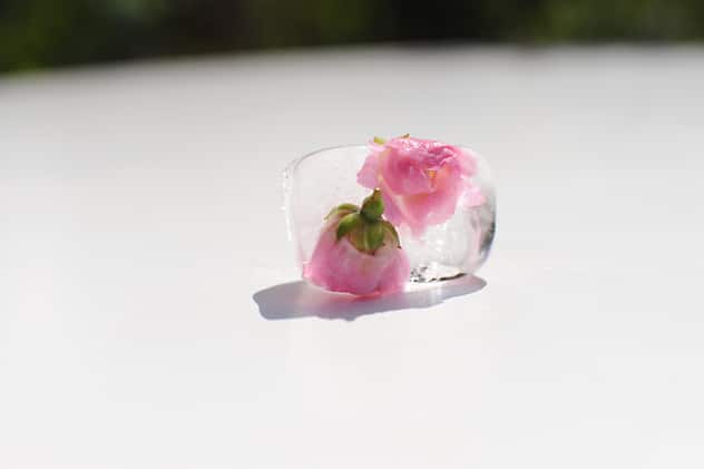 Wellcuisine_Eiswürfel_002