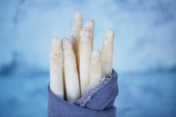 Well_Spargel_003