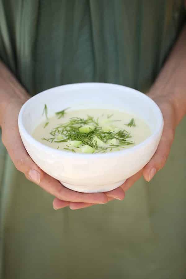 Vichyssoise Wellcuisine