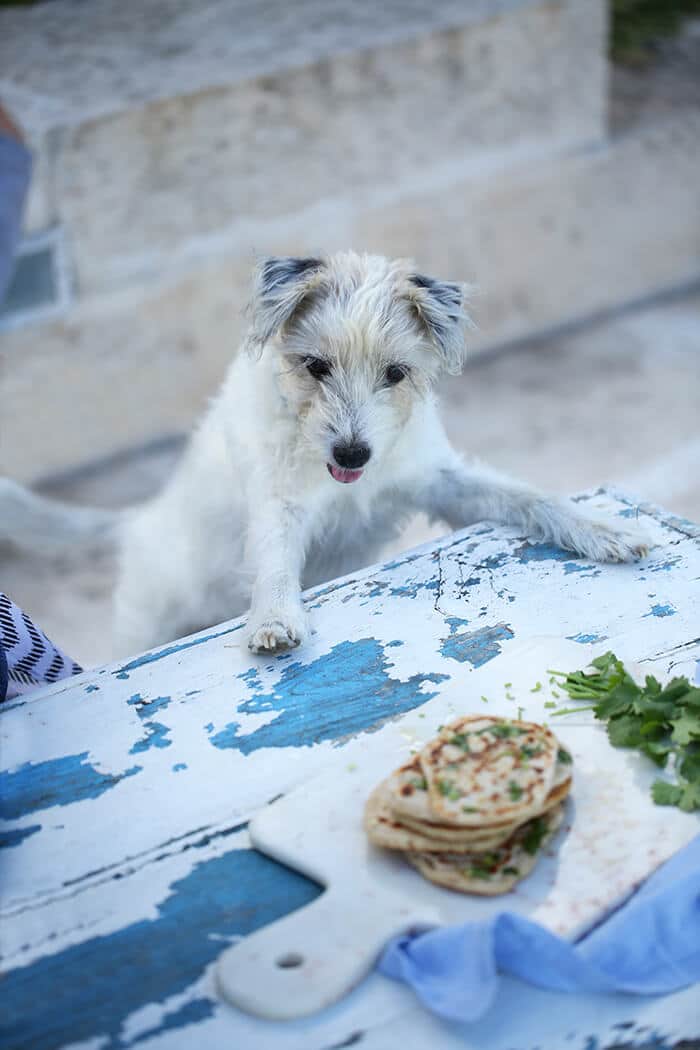 Glutenfreie Naan-Brote