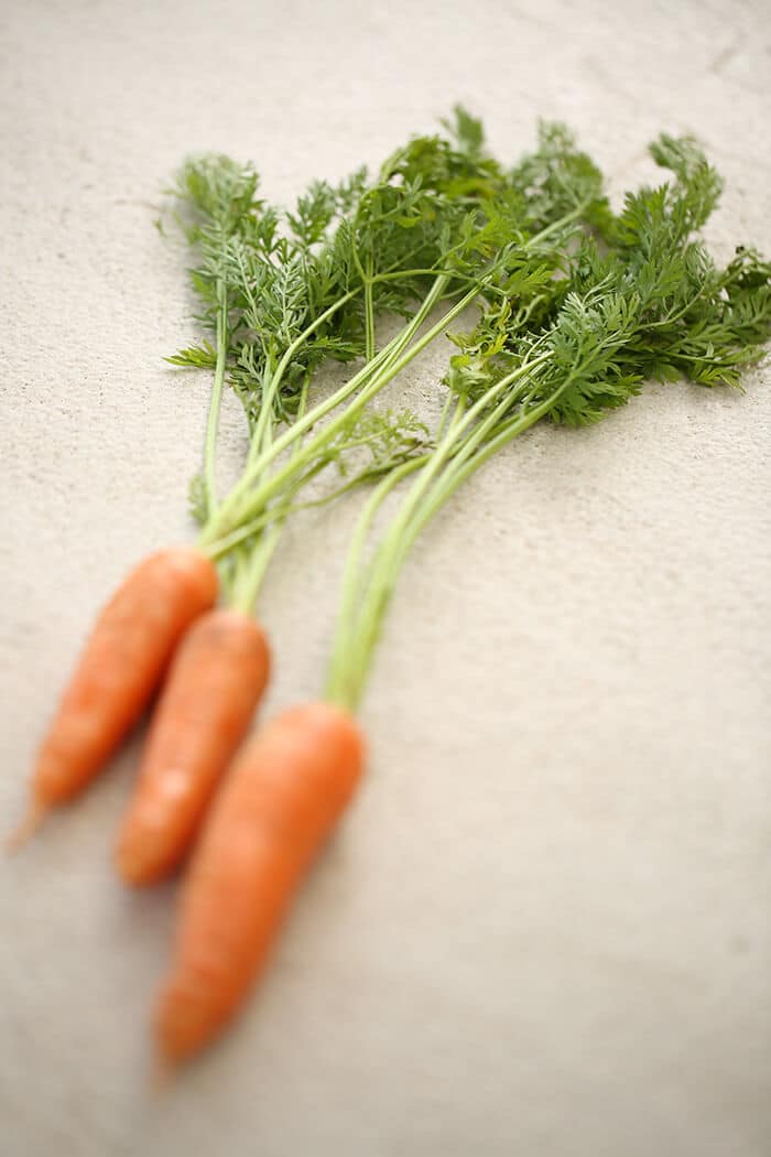 Rigatoni mit Karotten-Misocreme