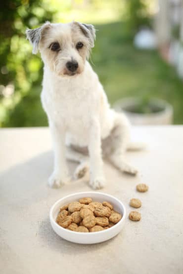 Hunde-Cookies