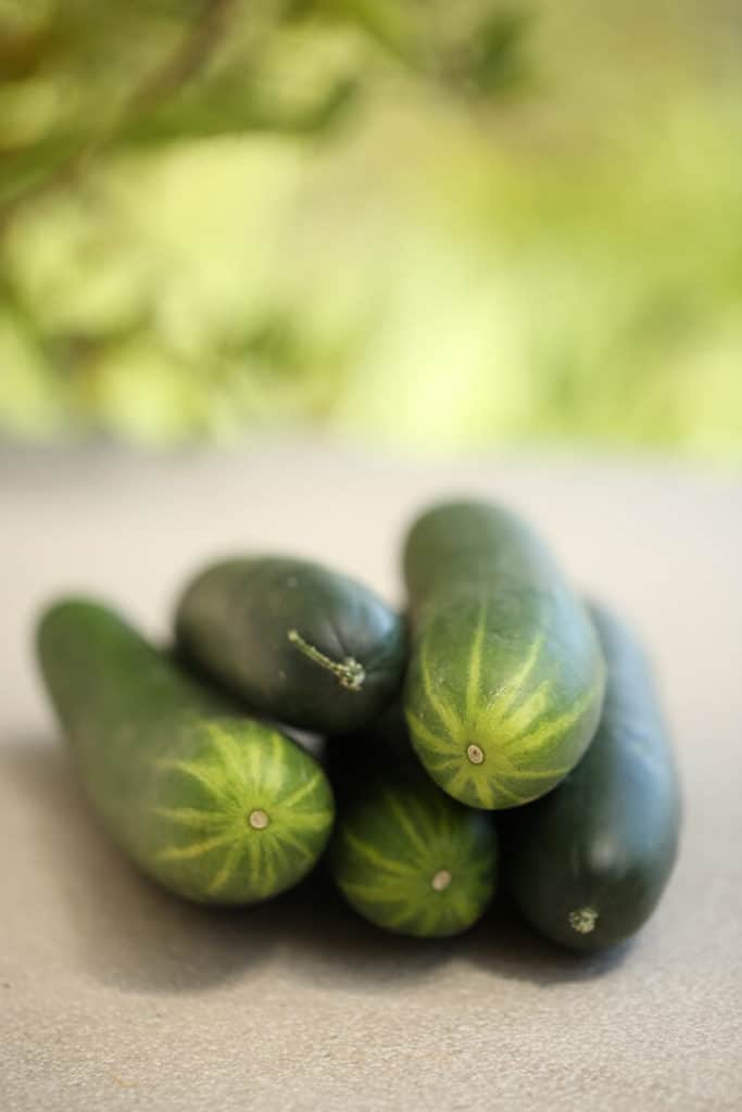 Gurkensalat