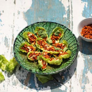 Pulled Tofu
