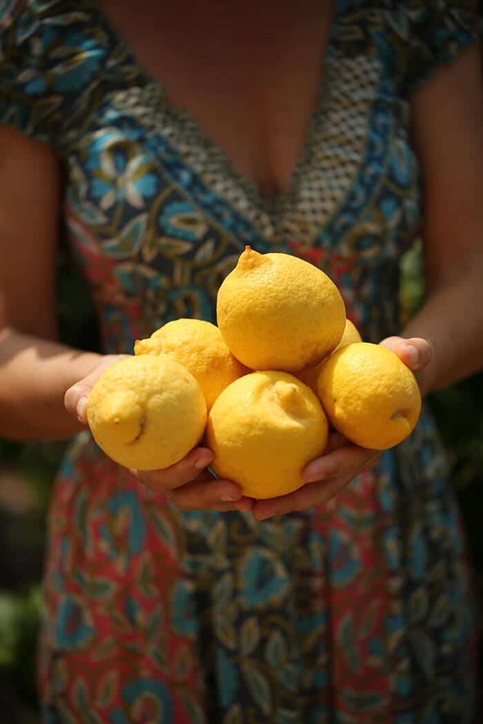 Cremiges Zitronensalz | Wellcuisine